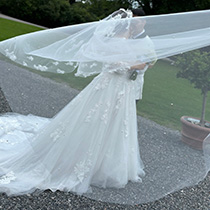 Story Image